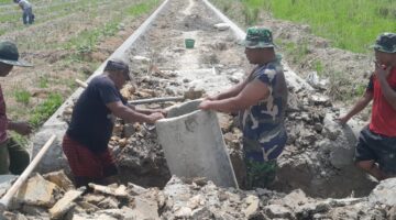 Melindungi Infrastruktur Jalan,TMMD 128 Pasar Rawa Gebang Membuat Dua Gorong-gorong