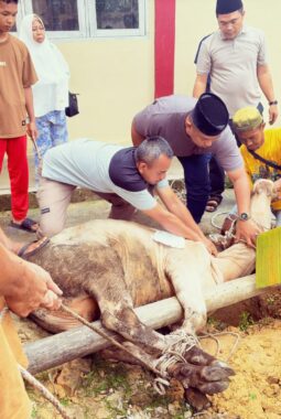 berita-rekomendasi-foto