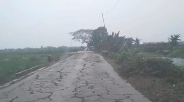 DPD IWO Indonesia Kabupaten Bekasi Soroti Jalan Rusak Parah di Ruas Sukahurip–Tambelang, Desak Pemkab Segera Bertindak
