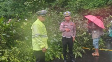 Satlantas Polres Karo Gerak Cepat Tangani Pohon Tumbang di Jalur Medan-Kabanjahe