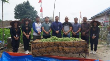 Dukung Ketahanan Pangan, Rutan Kabanjahe Panen Raya Buncis Hasil Tanaman Sarana Asimilasi dan Edukasi (SAE)