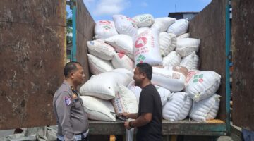 Polres Batu Bara Salurkan 10,269 Ton Jagung ke Bulog Asahan  Polres Batu Bara kembali mendukung program ketahanan pangan melalui pendistribusian hasil panen jagung dari kelompok tani ke Gudang Bulog Asahan, Senin (14/9/2026).  Pengiriman jagung tiba di Gudang Bulog Asahan sekitar pukul 14.30 WIB dan didampingi Kanitgakkum Satlantas IPDA Junaedi, S.H.   Setelah dilakukan penimbangan, hasil panen jagung yang diterima Bulog Asahan tercatat sebanyak 10,269 ton dengan kadar air 13,80 persen.  Dengan pengiriman tersebut, total keseluruhan hasil panen jagung yang telah disalurkan Polres Batu Bara ke Bulog Asahan sampai 14 September 2026  mencapai 437,258 ton.  Kegiatan ini merupakan bentuk dukungan Polres Batu Bara terhadap program ketahanan pangan nasional sekaligus mendorong produktivitas pertanian masyarakat.